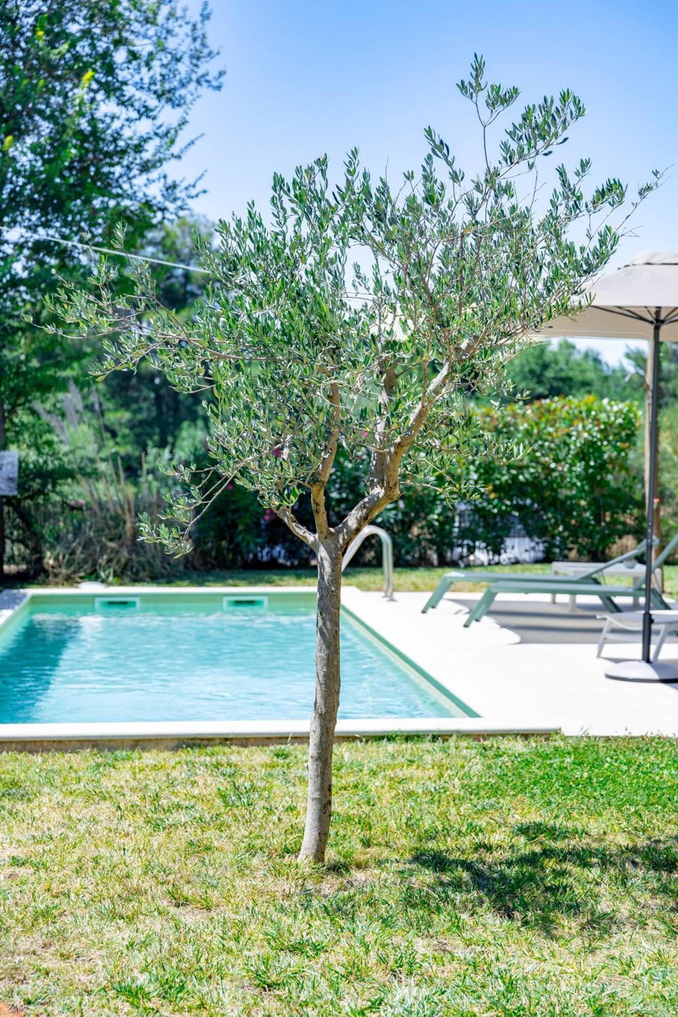 Villa Zen - With Pool & Close To The Sea Tar-Vabriga Екстер'єр фото